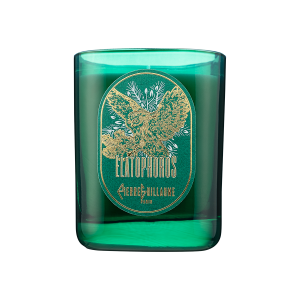 Elatophoros, Bougie parfumée d'ambiance 240 g, Aiguilles de pin, Sauge, Myhrre, Labdanum, Cuir.