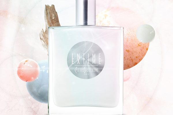 INTIME-EXTIME &#8211; PIERRE GUILLAUME COLLECTION BLANCHE