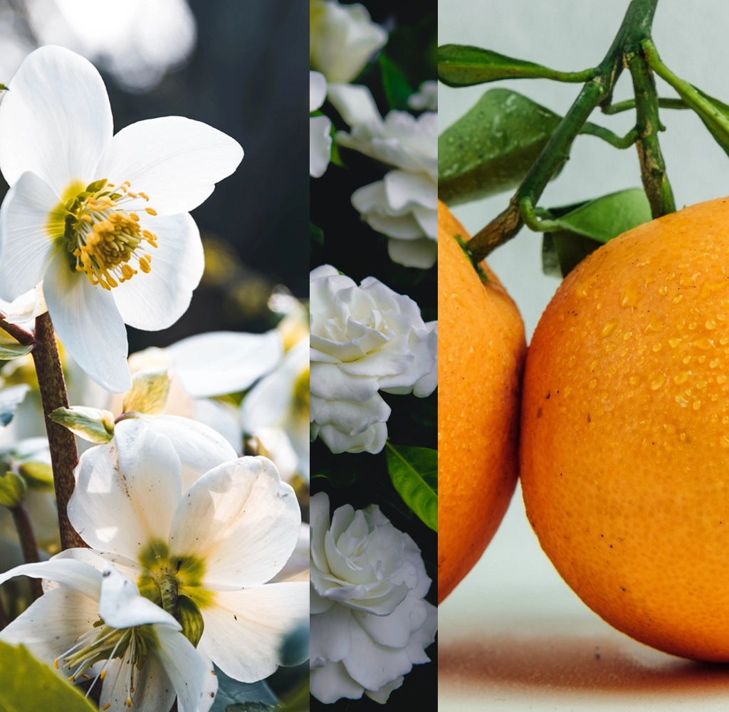 Scented Refreshing Courtesy Water for the Hands-Neroli