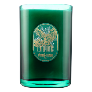 Elatophoros, Ornamental scented candle 1,5 kg, Pine needles, Sage, Myhrre, Labdanum, Leather.