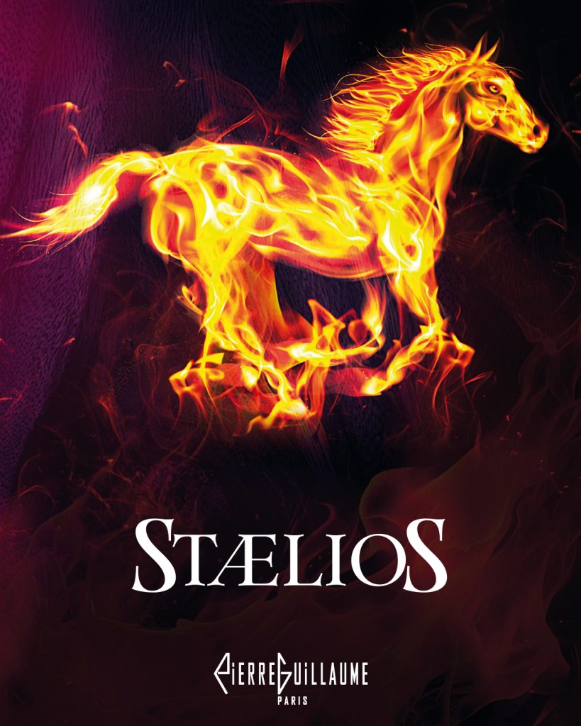 Stælios, parfum, 100ml, Sillage puissant, Tenue Longue Durée, Vibrant, Radiant, Luxueux