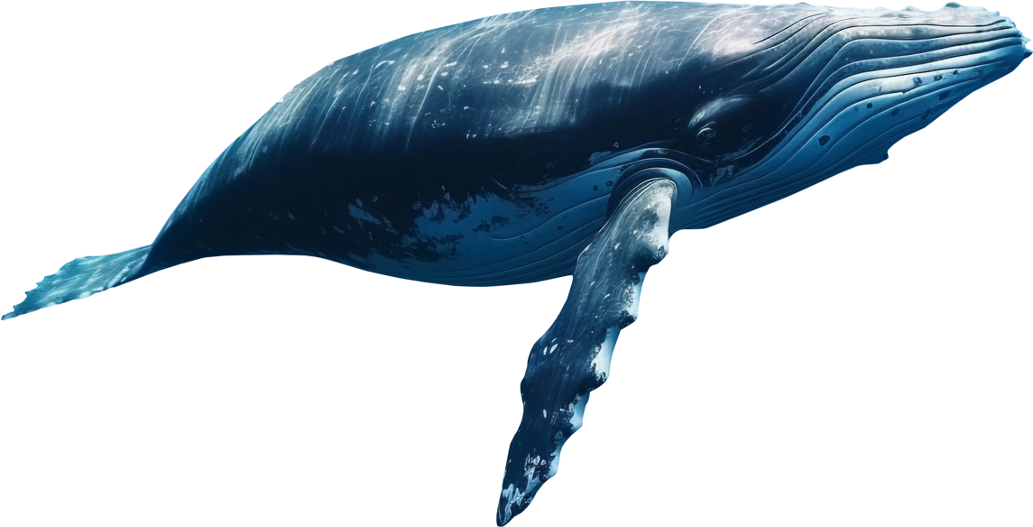 Pierre-Guillaume-Paris---Le-Chant-des-sirenes-27-1-Parfum-Mineral-Baume-Tendre-Baleine-Whale2