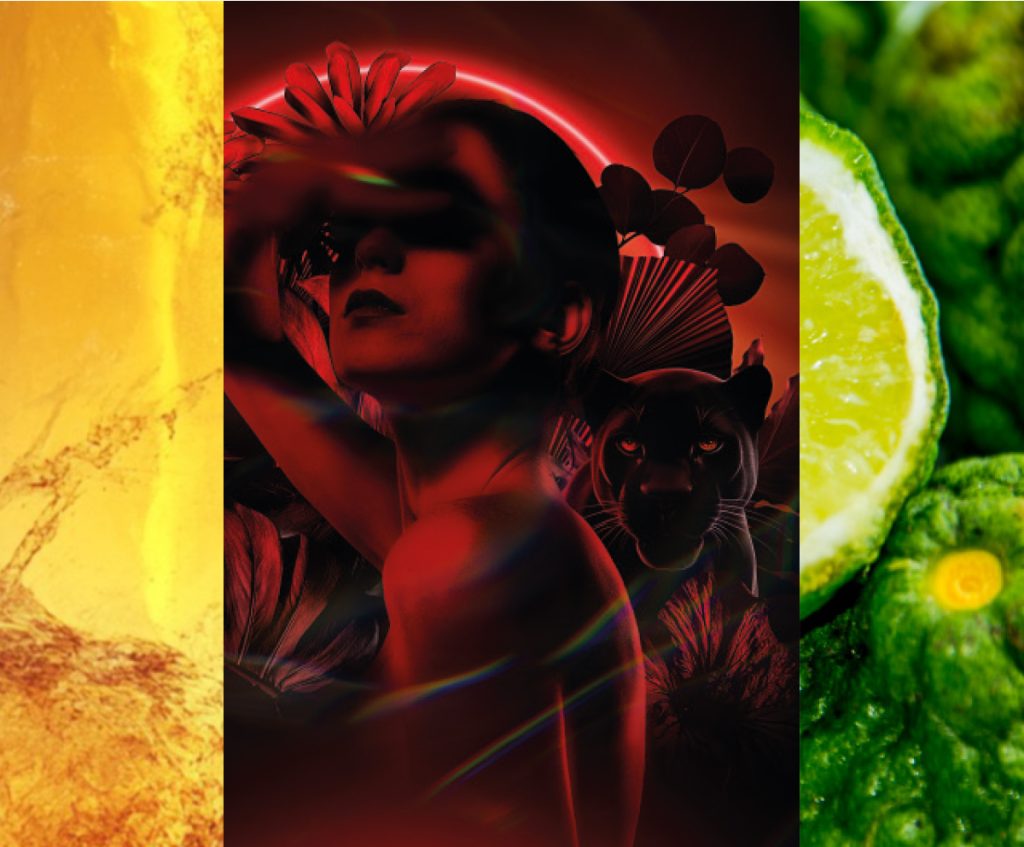 Parfum Volupté Noire I 100ml bottle, Intense, Balmy, Magnetic. Bergamot, Davana, Medjoul Date, Lime, Acacia, Jasmine, Black Oak, Euphorbia Honey, Amber, Musk. Ambiance Ingredients 1.