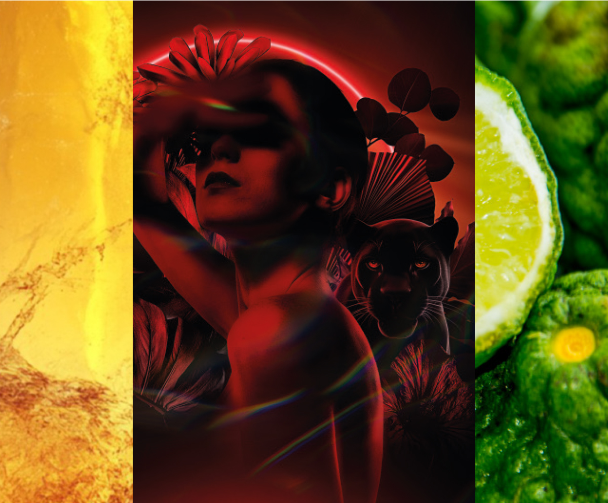 Parfum Volupté Noire I 100ml bottle, Intense, Balmy, Magnetic. Bergamot, Davana, Medjoul Date, Lime, Acacia, Jasmine, Black Oak, Euphorbia Honey, Amber, Musk. Ambiance Ingredients 1.