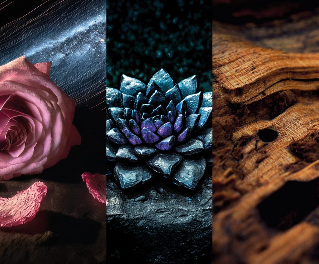 Métarosme 13.2: an androgynous, abstract rose with hints of Volvic stone (Obsidial®), redwood and Grisalva.