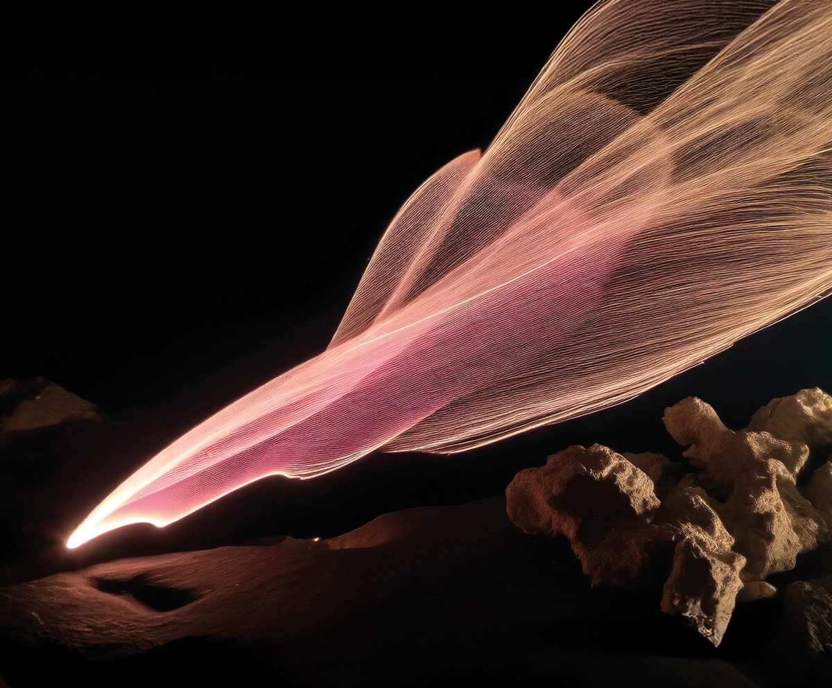 Métarosme 13.2: an androgynous, abstract rose with hints of Volvic stone (Obsidial®), redwood and Grisalva.