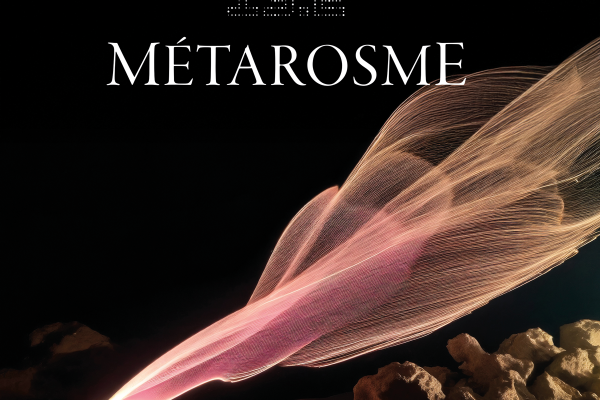 13.2 MÉTAROSME – WORKSHOP EDITION