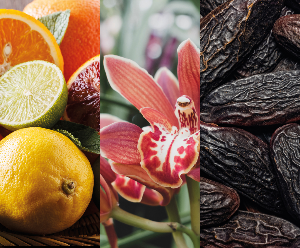 Pierre Guillaume Paris presents a floral fruity amber fragrance: 29.1 À l'Heure des Catleyas. Citrus, Catleyas, Tonka, Warm Sand, Musk. Ingredients 1