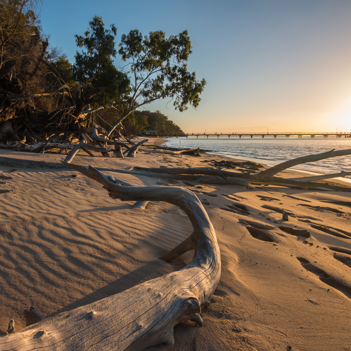 PGP-Bois-naufrage-shutterstock_414999496 Pierre Guillaume Paris Texture bois flotté plage