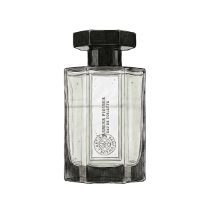 Premier-Figuier-Croquis-solo