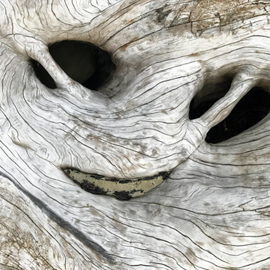 fig3 Pierre Guillaume Paris Texture bois flotté plage