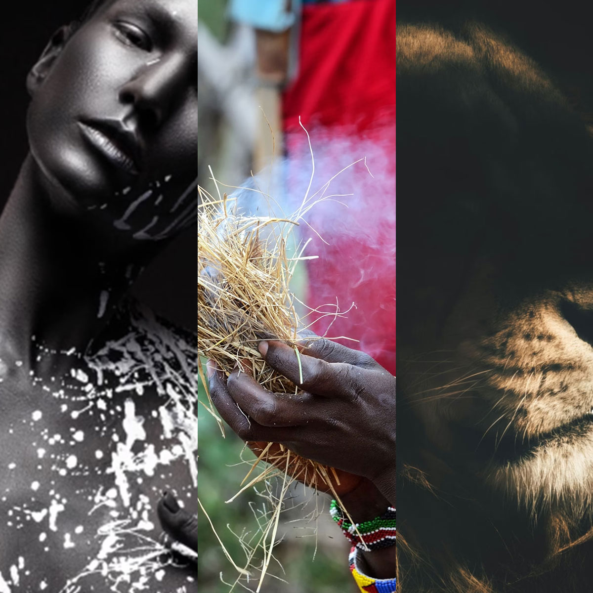 10.2 Sphinxyness — L'Inspiration — Triptyque : peau, feu et fauve — L'héritage de l'autre beau — Pierre Guillaume Paris